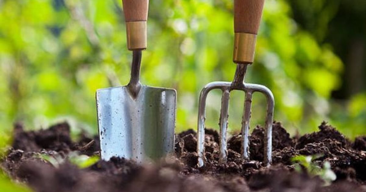 Innovative Gardening Tools