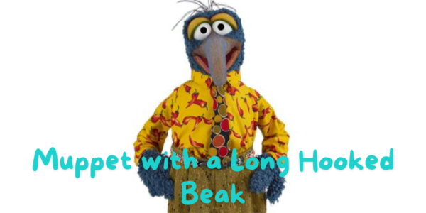 Muppet with a Long Hooked Beak: A Comprehensive Analysis
